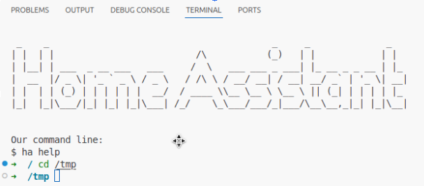 Navigating to the temp folder in the terminal